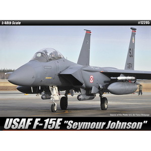 1/48 미공군 F-15E(시모어 존슨)(12295)