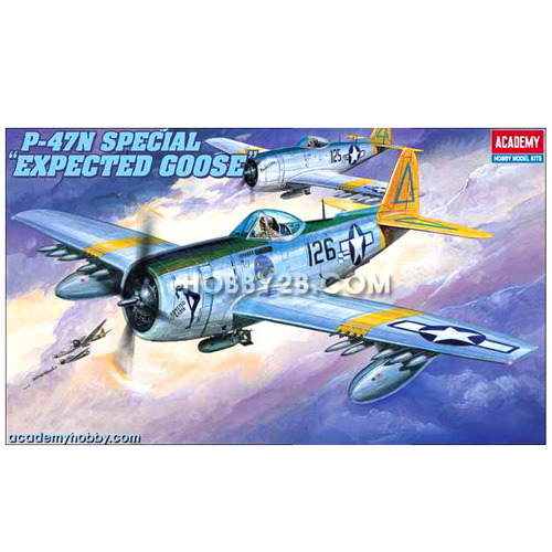1/48 P-47N SPECIAL &#039;EXPECTED GOOSE&#039;(12281)